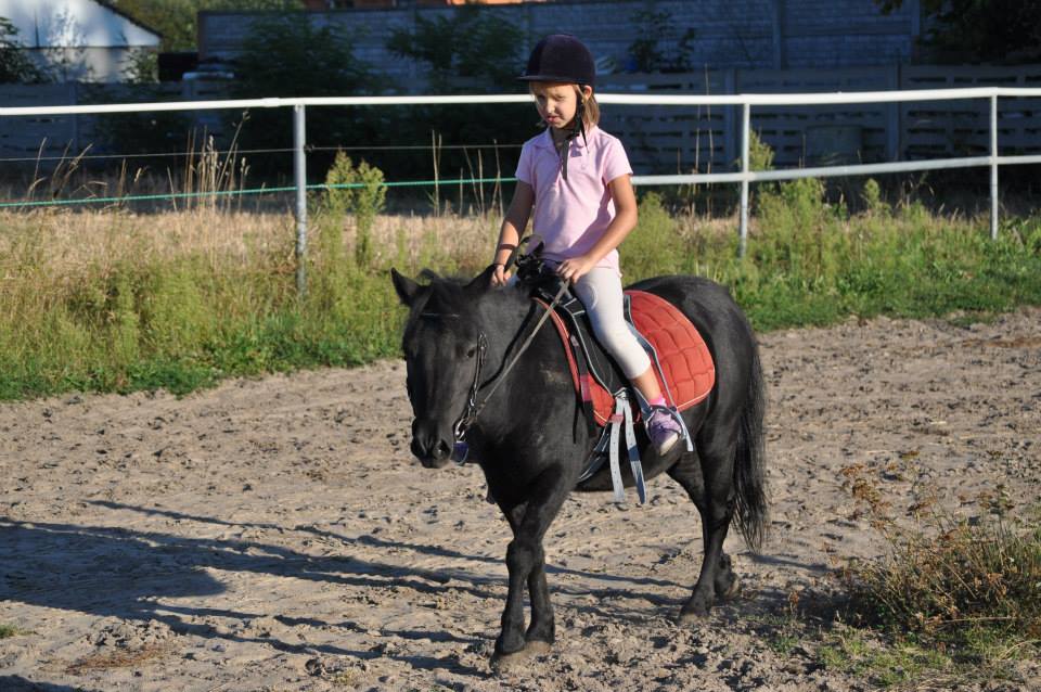 SZKÓŁKA JEŹDZIECKA