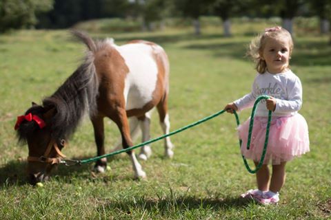 PONY CLUB